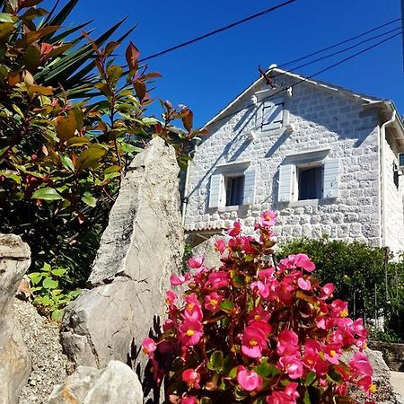 Old Stone Villa Lalosevic كوتور المظهر الخارجي الصورة